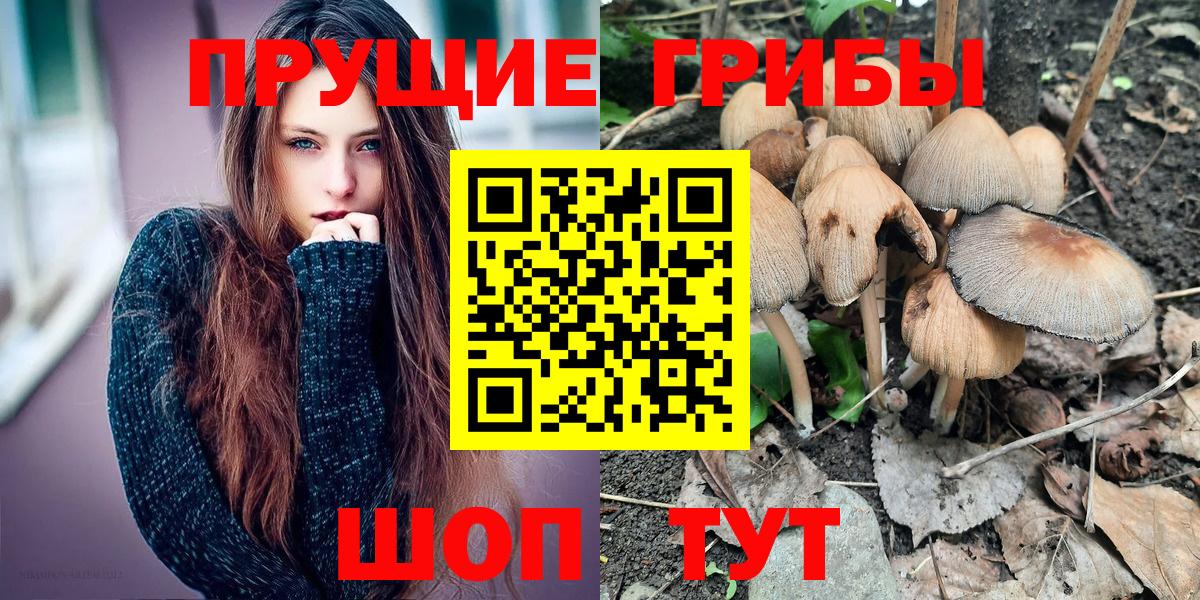 Гуково  Псилоцибиновые грибы ЛСД  Галлюциногенные грибы ЛСД  Вход с VPN 