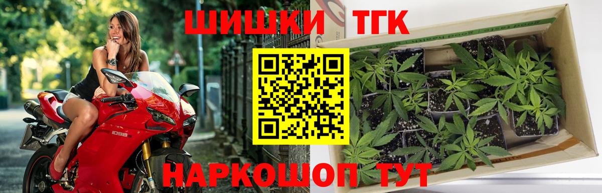 Гуково  Конопля планчик  Шишки марихуана гибрид  Вход с VPN  Шишки марихуана сатива 